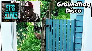 STR8 SOUNDS Groundhog Disco