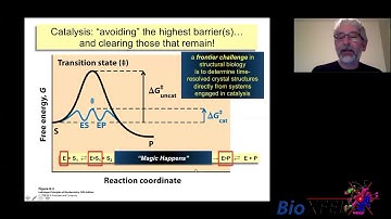 Dynamic structural biology revealed by time-resolved studies