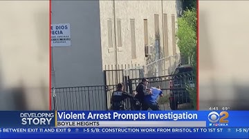 LAPD Opens Use-Of-Force Investigation Into Arrest Of Trespassing Suspect