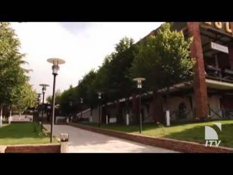 კოლხეთი ოქროყანა