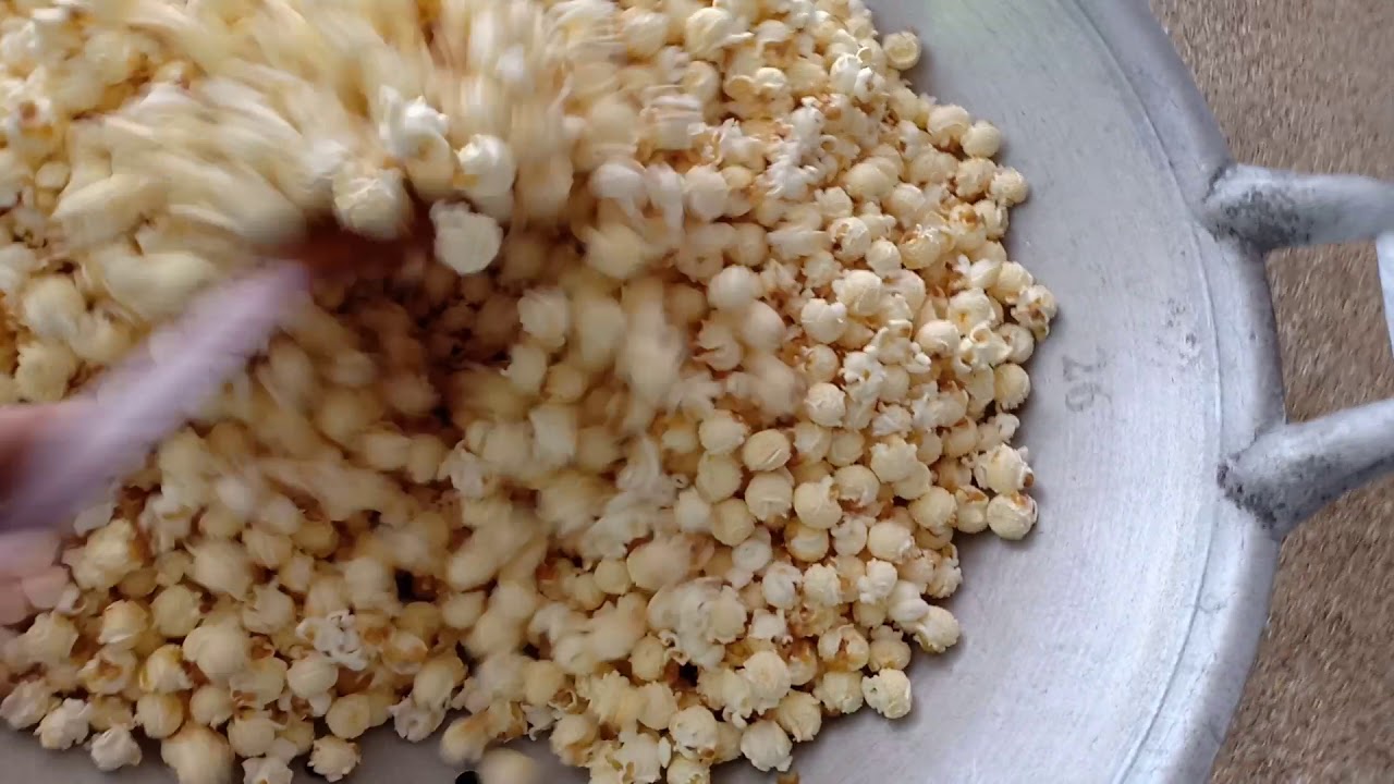 เมล็ดป๊อปคอร์น ขายส่ง เมล็ดข้าวโพต ป๊อปคอร์น popcorn เกรดA mushroom popcorn ราคาถูก