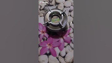 Bếp cồn KIM HẰNG