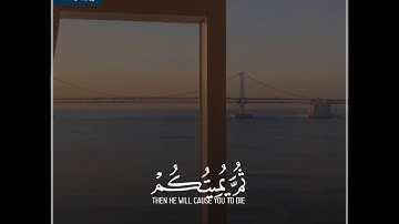 قرآن الكريم بصوت سعد الغامدي 😌💜 حالات واتس اب دينية 🎧 سورة البقرة كيف تكفرون بالله وكنتم....