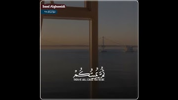 قرآن الكريم بصوت سعد الغامدي 😌💜 حالات واتس اب دينية 🎧 سورة البقرة كيف تكفرون بالله وكنتم....