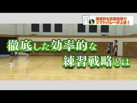 ソフトバレーボール上達革命 日本ソフトバレーボール連盟 副理事長 渡邉孝 監修 Dvd２枚組 Youtube