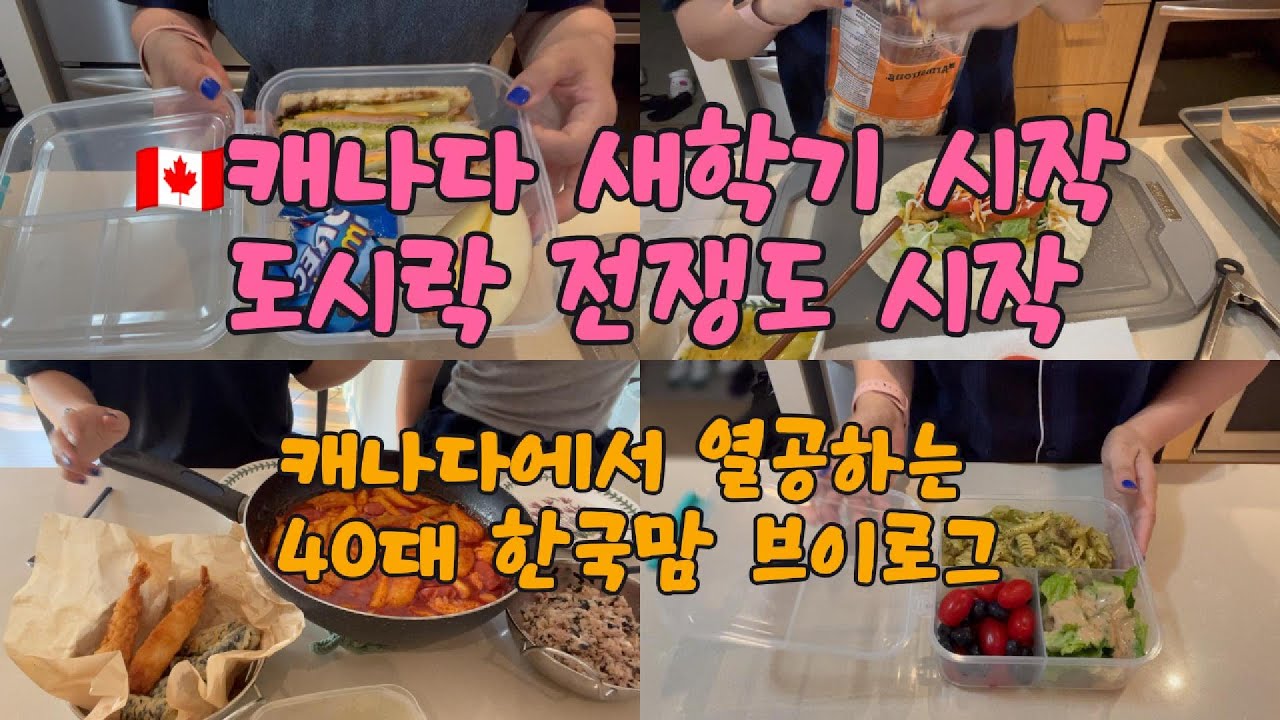 🇨🇦 캐나다 새학기 시작 새벽 도시락 전쟁도 시작 | 캐나다에서 열공하는 40대 한국맘 일상 브이로구