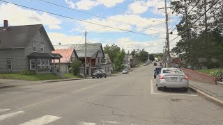Rangeley's Canada goose population to be reduced due to health concerns