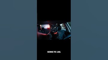 Cat Arrested for Catnip Addiction! 😹🚓 #CaughtInTheAct