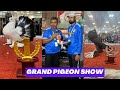 Grand pigeon show 2024 gujarat  kabutar show india