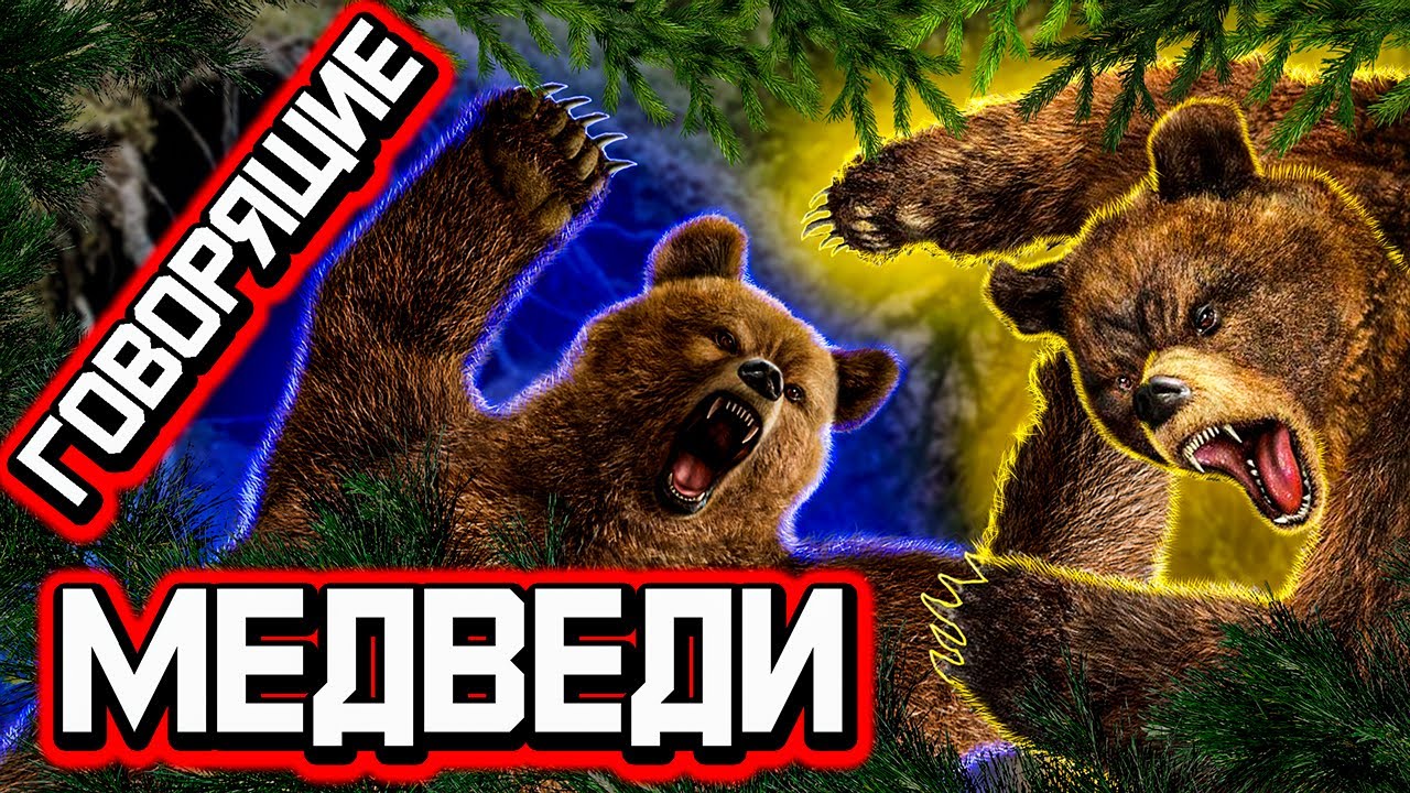 Говорящий медведь 1