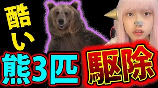 熊3頭駆除 で 秋田県庁 に 県外から 苦情殺到 立てこもり 被害【クマ3頭 クマ3匹 ツキノワグマ 処分 美郷町】