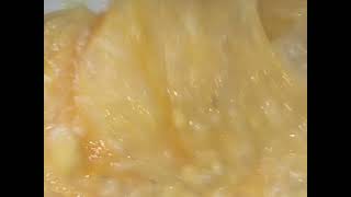Dont Eat Bread Instead Make This Healthy Delicious Breakfast Recipe For The Whole Family