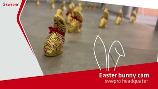 Happy Eastern With Swepro