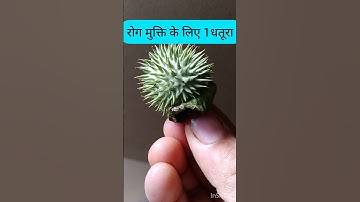 रोग मुक्ति का अचूक उपाय #shivmahapuran #pandit_pradeep_ji_mishra #shorts