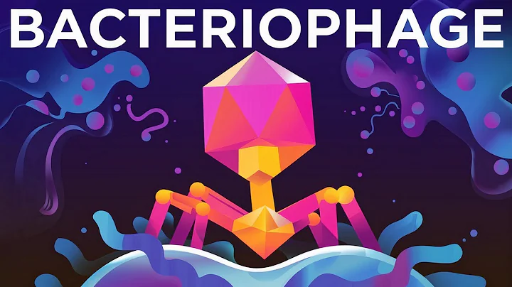 The Deadliest Being on Planet Earth – The Bacteriophage