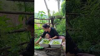 หั่นมะกรูด#จะทำน้ำยาล้างจาน