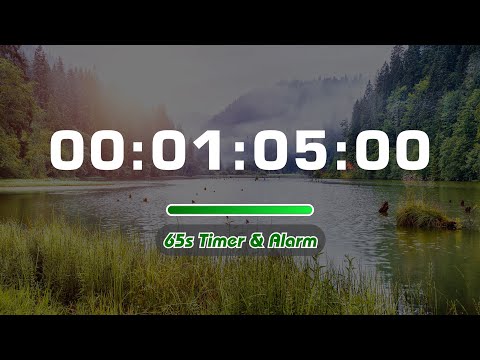 01:05s 🔔 65 Second TIMER with Tick Tock Sound Every Second and Alarm for 10s - No Loop
