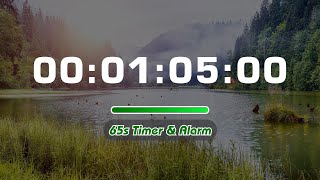 01:05s 🔔 65 Second TIMER with Tick Tock Sound Every Second and Alarm for 10s - No Loop