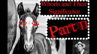 Whorls on Horses  What They Mean (in my Experience) Part 2