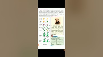 Class 9  Chapter 16   Heredity &Variation