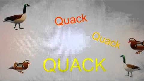 Girl Making A Duck Face - MSP  (1st Music Video!!)