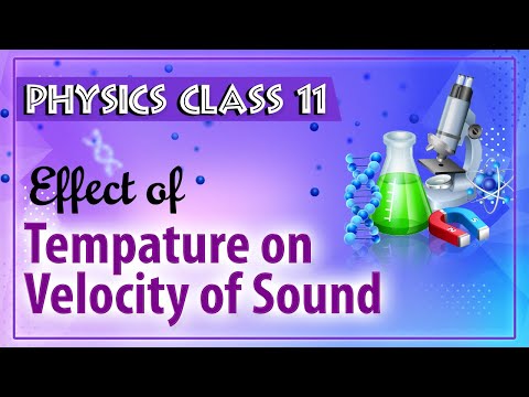 Effect of Tempature