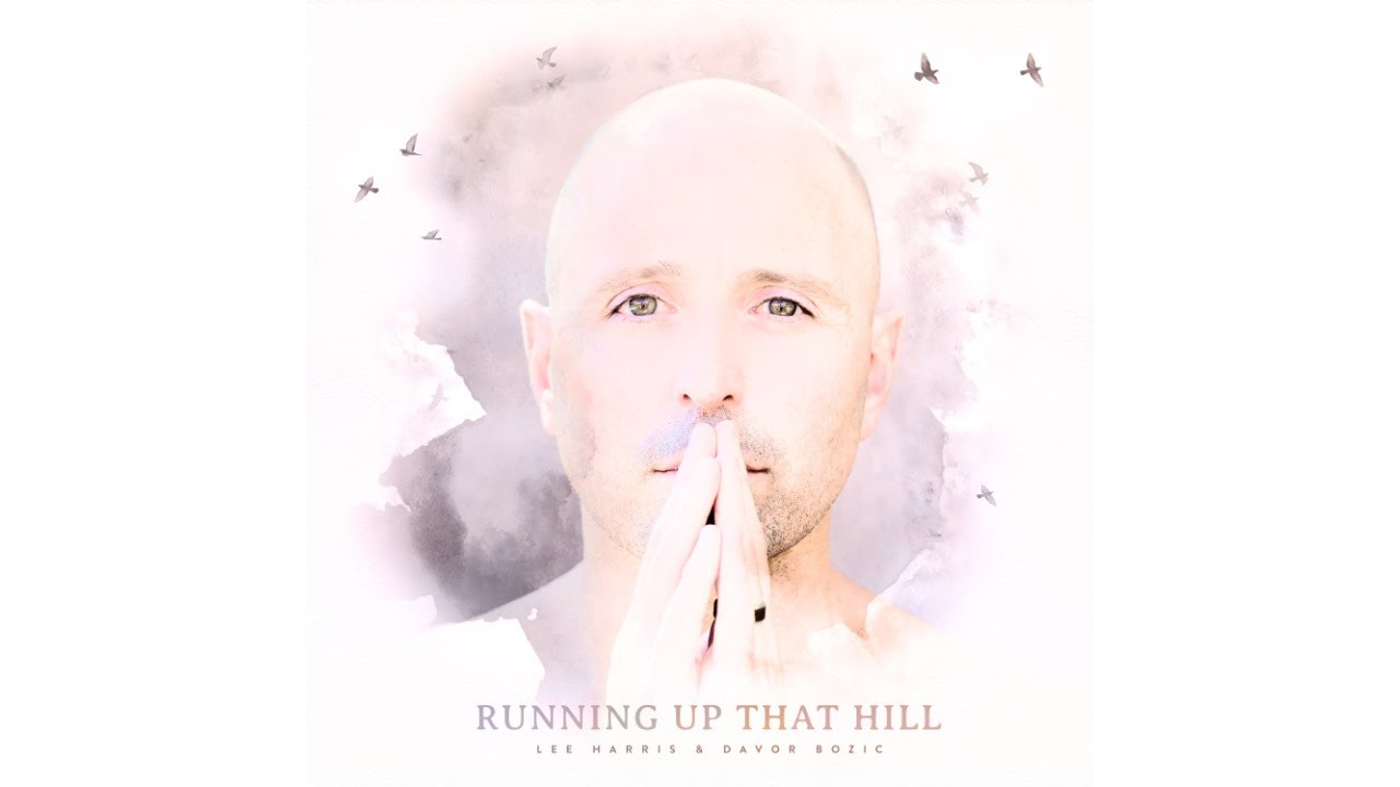 Running Up That Hill (A Deal With God) - [Cover] Lee Harris & Davor Bozic -  YouTube