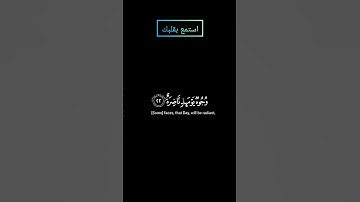 سورة القيامة كلا بل تحبون العاجلة بصوت ياسر الدوسري #ياسرالدوسري #قرآن #قران #قرآن_كريم