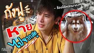 กังฟูหายไปจากสตู?! ผมตกใจร้องไห้หนักมากเพราะหาลูกไม่เจอ (มีภาพจากกล้องวงจรปิด)