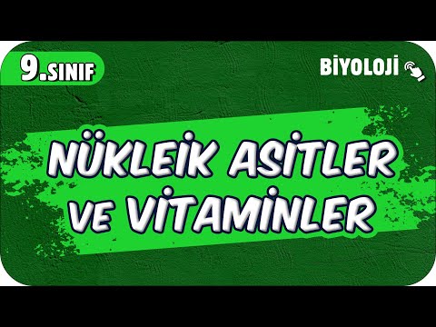 Nükleik Asitler ve Vitaminler | 9.Sınıf Biyoloji #2025