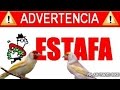 ESTAFADORES DE AVES (HD)