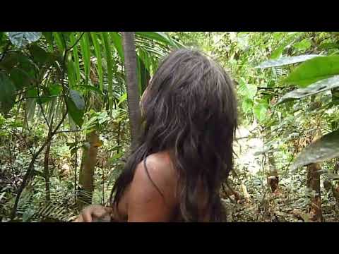 A Huaorani: Using Real Blowgun with Poisoned Darts