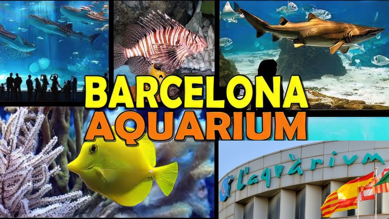 Discover the Best of Barcelona Aquarium A Comprehensive Tour of All