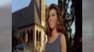Nancy Sinatra & The Bobby Fuller Four — GERONIMO