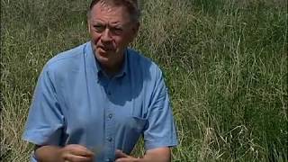 DownloadChernozemic Processes and Factors MP3 MP4 Chernozemic Processes and Factors