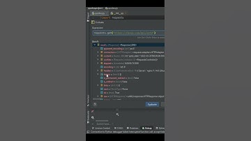 Effectively Debug In Pycharm Using Evaluate Expression #productivity #python #web3 #javascript