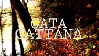 GATA CATTANA - EFEMÉRIDES chords