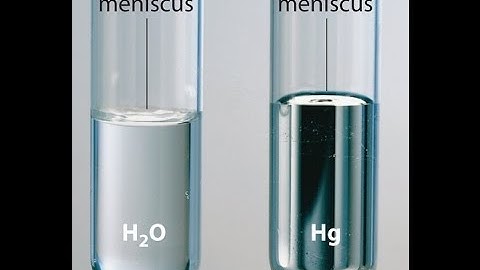 Cohesion and Adhesion