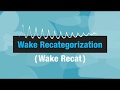Wake Recat Animated Infographic