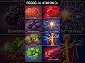 Eat Right, Feel Right: How Healthy Foods Promote Healthy Organs