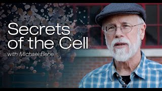 O Fator Misterioso da Biologia (Segredos da Célula com Michael Behe, 5º episódio)