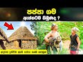 පප්පා ගම ඇත්තක්ද ? 😲 Sura Pappa | Is Sura Pappa village Real  | Asterix Sinhala | Soora pappa