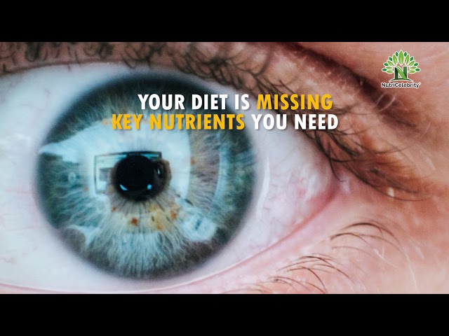 Optimal Eyes - The perfect Eye Vitamin