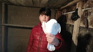 Ahmet Yusufa Kümes Kurduk. İlk Kuşumuzu Kaçırdık. Tip Kümesi