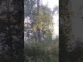 Скоро весна и наши лесные экскурсии продолжатся. Ждете? Приезжайте отдохнуть на природе