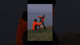 Rangers Weigh Āwheo The Albatross Chick On Royal Cam In New Zealand