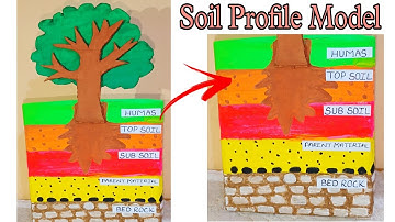 3D Soil Profile Model Making Using Cardboard. DIY Science Project . Soil Layer .#soil#easy