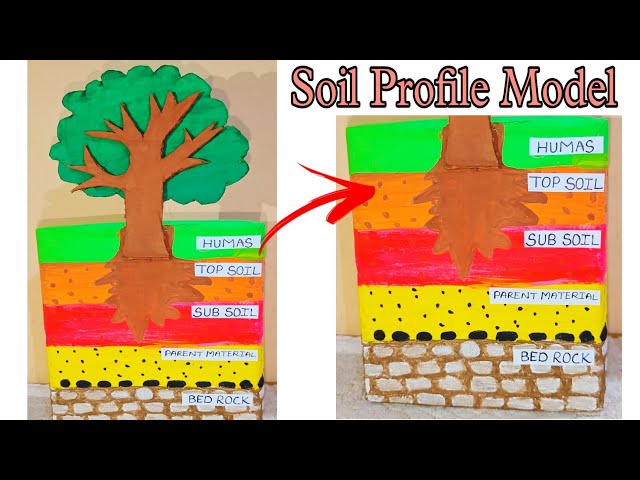 3D Soil Profile Model Making Using Cardboard. DIY Science Project