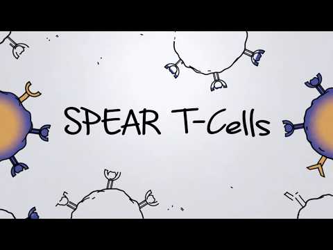 Video: Systemisk Og Lokal Immunitet Etter Adoptert Overføring Av NY-ESO-1 SPEAR T-celler I Synovial Sarkom