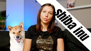 Shiba Inu  czy to pies, czy to kot? | Rasy Psów odc.7